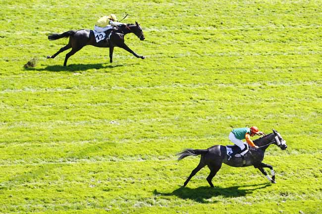 Silver Axe sorprende nel Jean Bart ad Auteuil, prova Quinté della giornata. Bene fra le novizie Ria D’Etel, Tiesto D’Authie dice no all’atteso So Cherel nel Gleizes