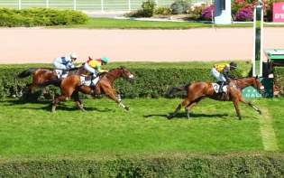 Pythagore vince il ricco Prix de La Gascogne e punta al Grande Steeple di Enghien