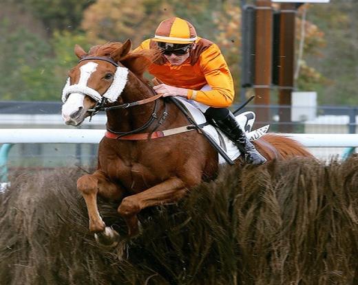 Francia. Domenica a Pau un’interessante edizione del Prix Haras de Saint Vincent (Prix Antoine de Palaminy)