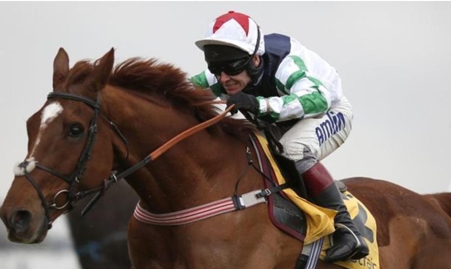 Newbury. Top Gamble dice no a Dodging Bullets. Houblon Des Obeaux domina le Denman Chase