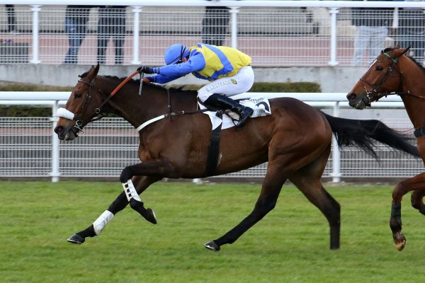 Auteuil. E’ partita la nuova stagione parigina con Guillaume Macaire subito grande protagonista. Il champion trainer francese ha conquistato Clermont e Juigné