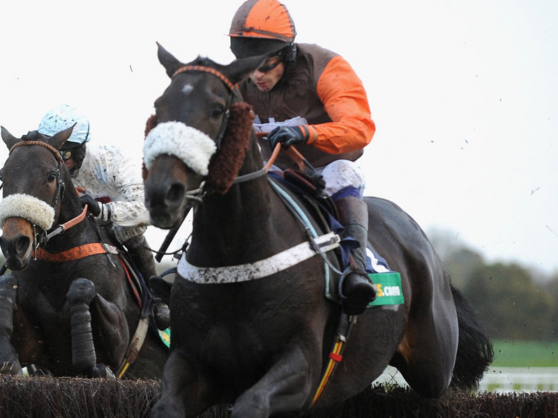 Carlisle. Si è chiusa questo pomeriggio, la splendida carriera di un grande campione come Long Run