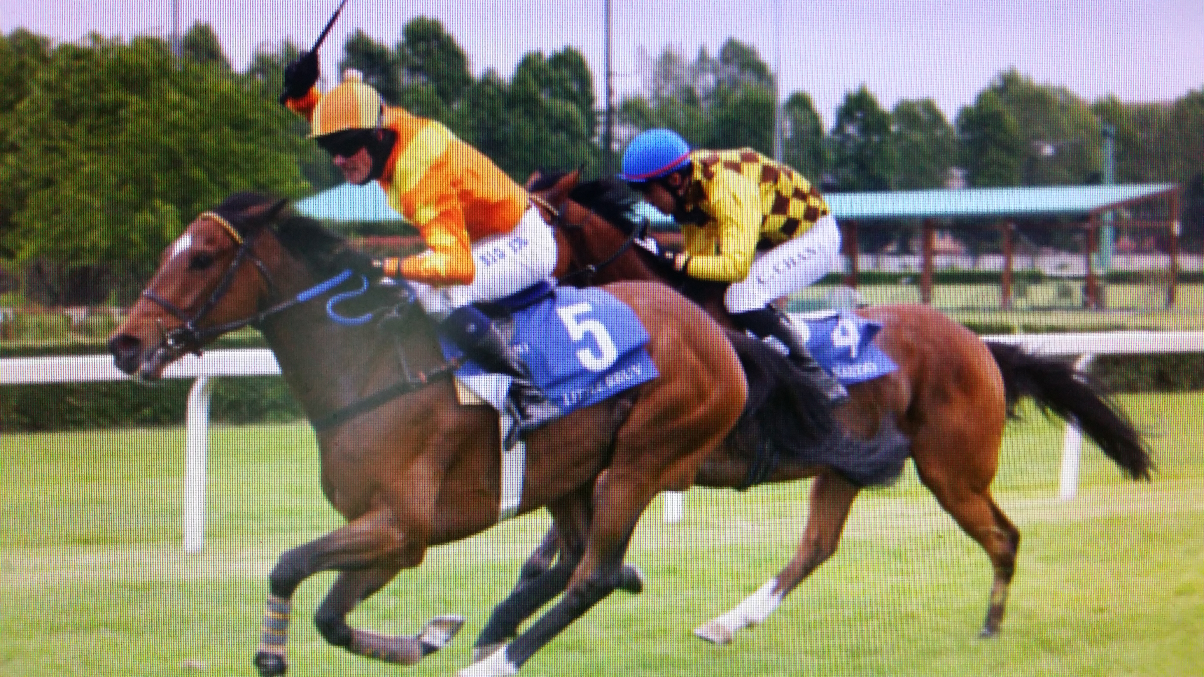 Milano. Little Bruv si aggiudica il Grande Steeple Chase, battuto il tedesco Kazzio. Nella Siepi per i 4 anni trionfo di Stafettino; Tramonto a Ivry vince il Martesana