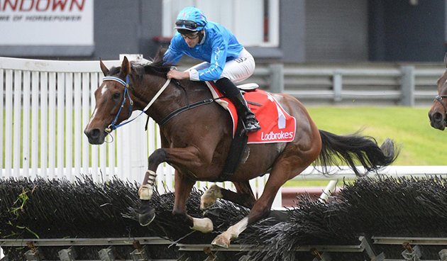 Sandown (Aus). Nelle Australian Hurdle Arch Fire piega il tenace Gingerboy. Nello Steeplechase vittoria dell’atteso Angelology, l’allenatore Patrick Payne dedica il successo alla sorella Michelle, recentemente protagonista di una bruttissima caduta a Mildura