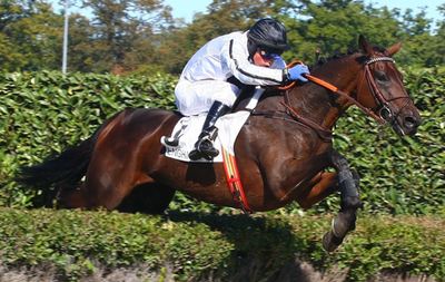 Francia. Nel Grande Steeple Chase di Dieppe, si isola il campione in carica Chiffe d’Affaires. Nel Grand Cross il grigio Tadoum Ludois solo al traguardo