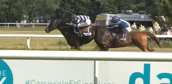 FRANCIA. Dolut e Léo Paul Bréchet sorprendono nel Grand Steeple Chase de Dax, battuta la coppia di Guillaume Macaire Provokator Candalex; l’allievo di Patrice Quinton resta imbattuto nell’anno corrente