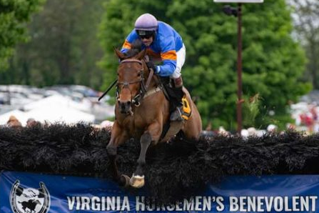 STATI UNITI. Giovedi a Saratoga attesa per l’AP Smithwick Memorial Stakes Hurdle di gruppo 1, in pista Optimus Prime con il due volte champion jockey Darren Nagle, contro l’ex Mullins Pravalaguna e Surprising Soul con Ross Geraghty