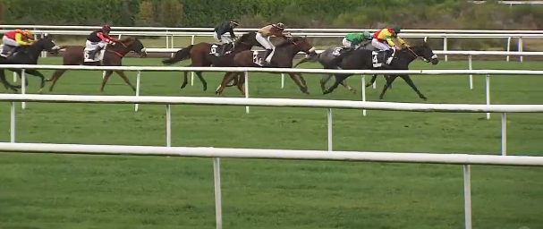 FRANCIA. Oktente e Sacha Bouché a sorpresa nella Grand Course de Haies de Fontainebleau, all’ippodromo de la Solle la femmina targata Mathieu Pitart batte in volata la favorita Spirou de Lune; terzo Manx avanti a Soral de Kerzel