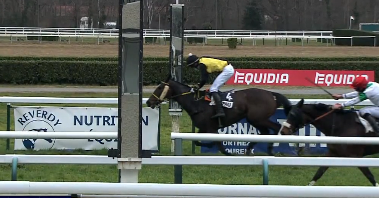 FRANCIA. Team Aichner Vana in trasferta questo giovedì a Fontainebleau con quattro pedine. Sternkranz ci riprova nello steeple chase chase del Prix Anne Lise Reinbold, il figlio di Kamsin merita credito dopo le due ottime esibizioni in quel di Pau; in pista anche Kapjahr, Ventura Bounty e Guena Des Mottes