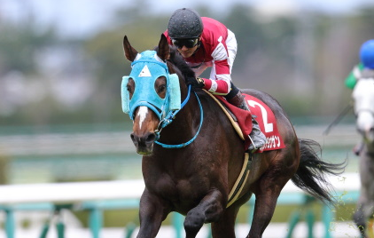 GIAPPONE. Sabato il secondo atto della Triplice Corona nipponica, si corre il Nakayama Grand Jump dove torna in pista il campionissimo Oju Chosan. L’allievo di Shoichiro Wada affronterà i due protagonisti della Pegasus Jump Stakes, Village Eagle e Blason D’Amour