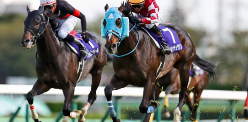 GIAPPONE. Oju Chosan strepitoso, vince per la sesta volta il Nakayama Grand Jump di Gr1. L’allievo di Shoichiro Wada interpretato da Shinichi Ishigami ha battuto in voltata Blason D’Amour, terzo con buon finale l’outsider Meiner Leone