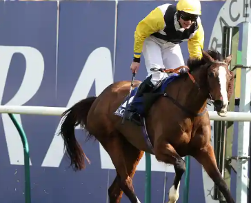 SCOZIA. Christian Williams clamoroso en plein nello Scottish Grand National Chase. Il formatore di Ogmore By Sea piazza al primo posto la mares Wing My Wings sotto la gestione dell’amatore Rob James, al secondo Kitty’s Light interpretata da Brian Hughes