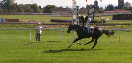 FRANCIA. Ancora una prestazione sfortunata per Brunch Royal nel Grand Cross de Vichy. L’allievo di Pepi Vana scivola in curva nell’ultimo tratto di gara quanto era in ottima posizione. Vince Black’n Roses interpretato da Benjamin Gelhay, allievo di Hubert Despont già vincitore di questa prova. Nella giornata ottimo secondo posto di Passion Return