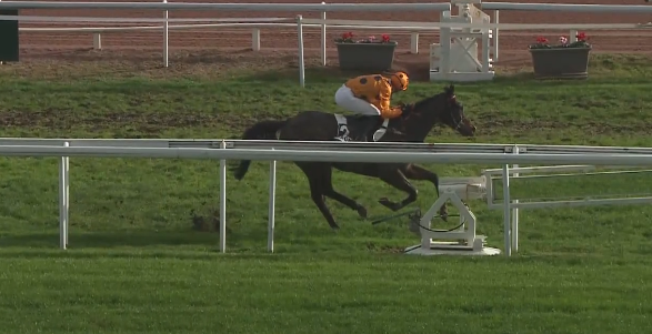 FRANCIA. Berjou netto e limpido nel test del Prix du Mont Vial a Cagnes Sur Mer, l’allievo di David Windrif stacca il ticket per il Grand Prix. Capivari immenso, il grigio di Aichner interpretato da Josef Bartos, domina la reclamare dopo due anni di astinenza dalla sua ultima vittoria