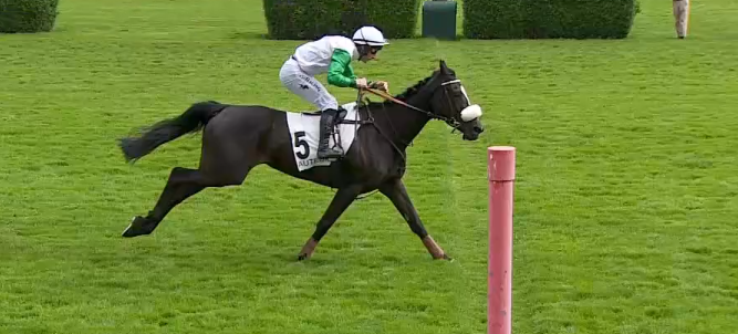 FRANCIA. Ad Auteuil protagonisti i puledri. Nara vince in bello stile il Wild Monarch riservato alle femmine, Sir Gino sorprende ma impressiona nella gara dei maschi. Doctor Kaleo vince la sua prima listed a otto anni, Jardin D’Arthel e James Reveley s’impongono nel Prix Philippe Ménager