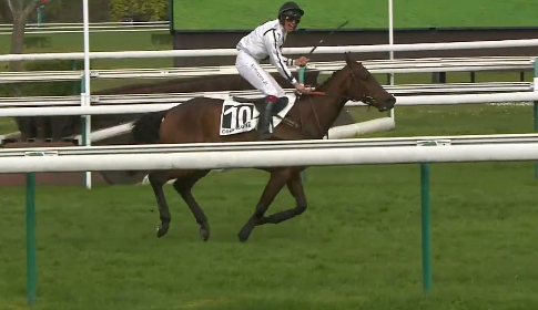 FRANCIA. Pearl Of Wisdom e il giovane Kénégan Denielm, vincono il Prix Hopper a Compiégne, test di preparazione al Dufaure. Molto cresciuto l’allievo di Francois Nicolle, batte la grande favorita Angela Du Berlais, nonostante una grave incertezza al Moyen Open Ditch