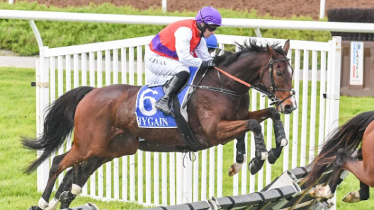 AUSTRALIA. Domenica una bella ed incerta edizione del Grand National Hurdle. Bedford atteso contro un lotto di temibili avversari nella classica di Sandown Park da 300 mila dollari, nel tradizionale Crisp ultimo test National Steepelchase c’è la stella di Stern Idol