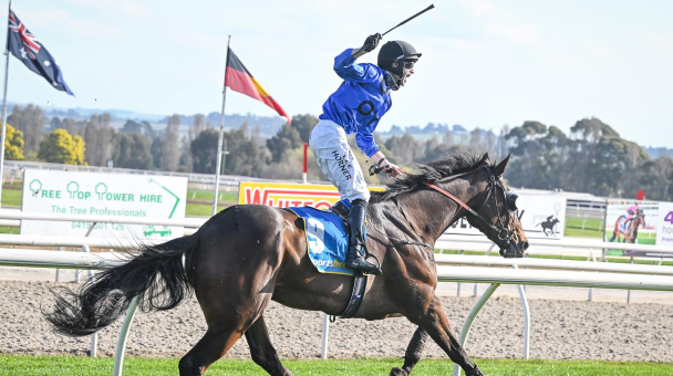 AUSTRALIA. Grand National letale per il favorito Stern Idol che finisce pulled up. Vince a sorpresa Brungle Bertie e 30 contro 1 per la formazione di Henry Dwyer sotto la gestione di Lee Horner Jr, jockey alla sua terza vittoria nel National, battuto l’ex inglese Bell Ex One e Castrofrancaru