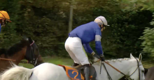 BELGIO. Polinuit strepitoso, il grigio allenato da Francois Nicolle replica nel Grand Steeple Chase des Flandres Van Vlaanderen davanti ad oltre 35 mila spettatori, battuto il Quinton General Desjy. Obiettivo Merano?