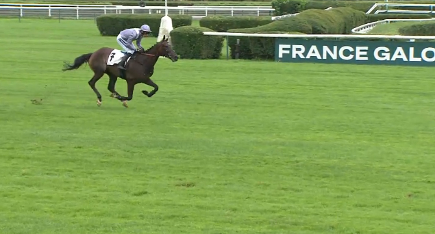 FRANCIA. Il Est Francais compie un numero all’esordio sul chase del Prix Méli Mèlo. Vision Du Rhue ok nel Goulaine, Kingland e Permis Du Tuer nel new entry nel doppio Finot. Jericoacoara quinto all’esordio sullo steeple dove vince Captain Du Berlais