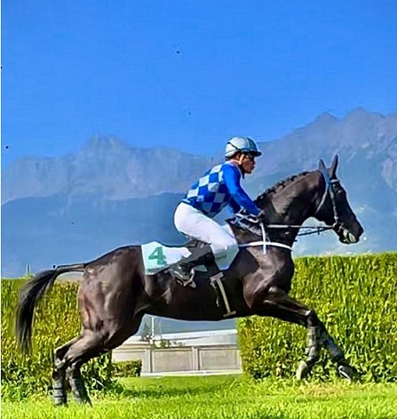 ITALIA. Closing a Merano. Cartolina tutta per Mentore, che a dodici anni vince il cross con in sella il suo proprietario Lorenzo Chieregati andando meritatamente alla pensione. Tonk sul caratteriale Mazinga fra i tre anni, Gaetano Volpe torna e vince in sella al valido Un Beso, bravo Contu! Amant ok nella periziata