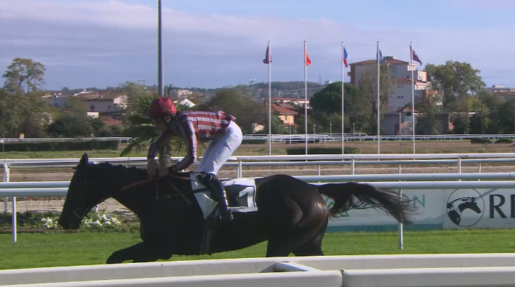 FRANCIA. Mister Vision e Aymelic Lelievre vincono il tradizionale Steeple Chase d’Automne a Tolosa. L’allievo di Francois Nicolle ha lasciato a distacco Raffles Liaison e Avel De Kerbarh