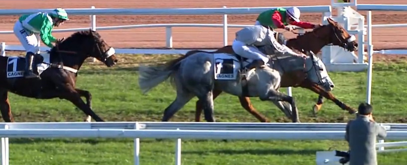 FRANCIA. A Cagnes Sur Mer Celestial Sands in formato gran siepi nel Louis Bernus. Inspace per i colori italiani di Nunzio Ricignuolo vince il Domingo Perea, Happyday facile nel Roger Duchene