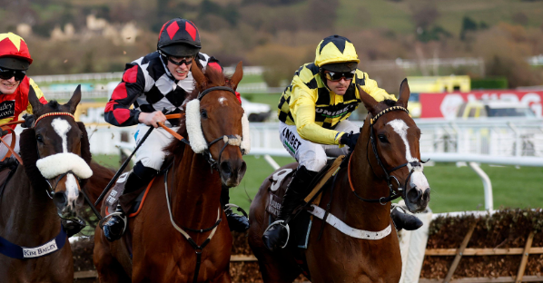 INGHILTERRA. A Cheltenham cresce Shanagh Bob. Il novizio di Nicky Henderson vince il Gr2 trial dell’Albert Bartlett, resta imbattuto e guarda con ottimismo sulla strada che porta al festival