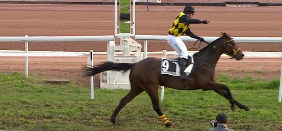 FRANCIA. I Vana ancora protagonisti a Cagnes Sur Mer. Ange Pitou devastante nel Prix Iles Des Lerins, Edinson nel Pierre Thomas, new entry First Polar reclamato a 24 mila euro da Josef Aichner. Domenica il Grand Prix de la Ville de Nice con Lord Dragon