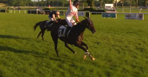 FRANCIA. Strepitoso Ever Forget Me. A Le Lion D’Angers l’allievo di Eric Leray supera indenne i 50 ostacoli del Prix Anjou Challenge, imponendosi avanti ad un ottimo Hello de Sivola, terzo Forza Conti