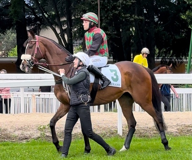 ITALIA. Sabato al Sant’Artemio una bella edizione dello Steeple Chase di Treviso. Natam detentore della corsa, vs la triade Aichner forte di Le Petit Nice, First Polar e Krokodile Dundee, in agguato Ivo e il polacco Burschi