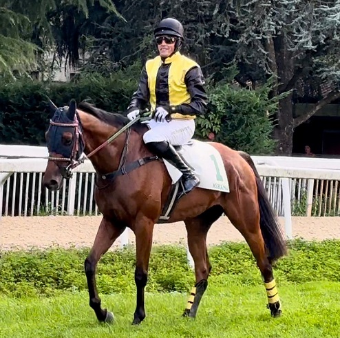 ITALIA. Merano weekend. Afar King si conferma come interessante quattro anni, bene anche Mr Mistoffelees fra i giovanissimi, doppi per Jan Kratochvil e Lenka Neprasova