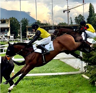 ITALIA. L’Estran giornata no, Ches Demonmirail si, vince il Caimi e vola verso il Gp Merano. Real Wild Child resta imbattuto, Verde Costellation in crescita esponenziale, Wamba domina la periziata