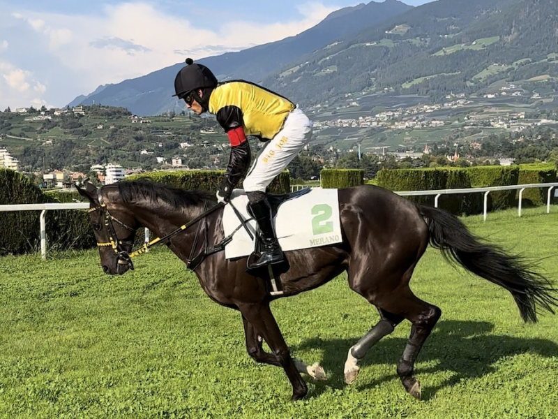 ITALIA. Merano, Madrilene si conferma anche nel Richard e si candida allo Steeple Chase d’Italia, sfortunato l’ottimo Mazinga. Zubiena e Ondrej Velek strepitosi nell’Arma di Cavalleria