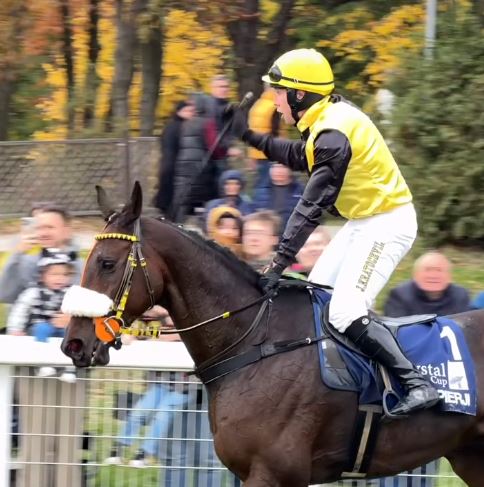 POLONIA E FRANCIA. Gap Pierji vince la Crystal Cup a Wroclaw, mostruoso Iceo Madrik a Compiégne nel Francois de Chevigny