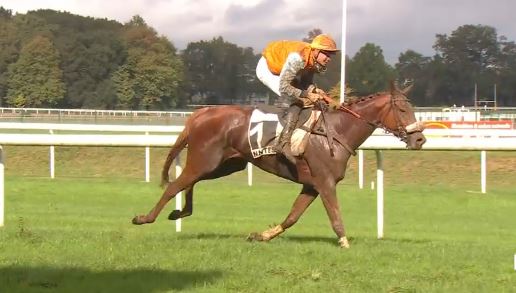 FRANCIA. Ginja de Taillons, imbattibile a Nantes. L’allieva di Etienne d’Andigné, ha vinto il Président Michel Bodiguel Grand Steeple-Chase de Loire-Atlantique con in sella l’ottimo Emilien Manceau