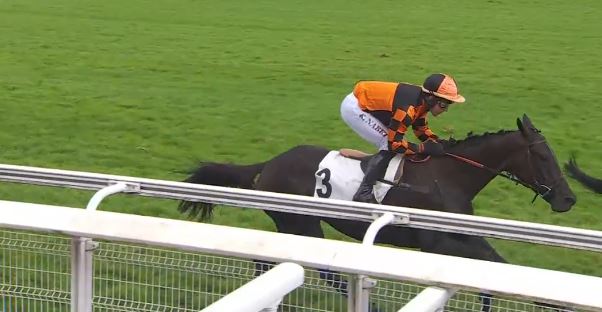 FRANCIA. Auteuil, Kingland rientra in splendido stile nel Prix de Maisons-Laffitte. L’allievo di Francois Nicolle punta al Renaud Du Vivier