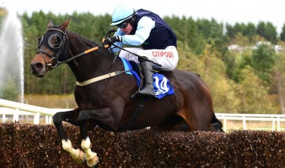 IRLANDA. Super Real Steel. Interpretato perfettamente da Danny Mullins, l’allievo di Emmet McNamara vince in modo autoritario il tradizionale Munster National Handicap Chase a Limerick, battuto il favorito Horantzau D’Airy