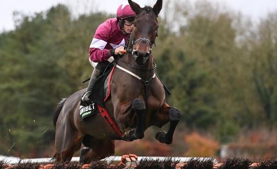 IRLANDA E UK. Brighterdaysahead sorprende l’atteso State Man nel Morgiana Hurdle a Punchestown. Royal Pagaille concede la replica nel Betfair Chase; Lucky Place conquista la Ascot Hurdle