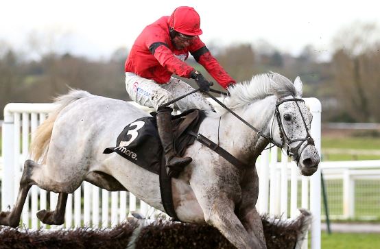 INGHILTERRA. Sabato ad Haydock Park la Betfair Chase, primo Gr1 della stagione con il detentore della corsa Royale Pagaille e il favorito Grey Dawning. La rientrante Golden Ace attesa in un’incerta Ascot Hurdle