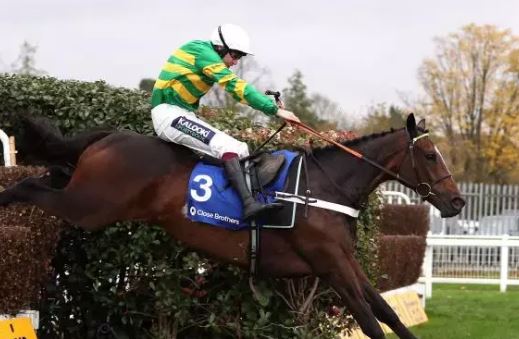 INGHILTERRA. Jonbon sicuro al rientro nello Shloer Chase a Cheltenham. L’allievo di Nicky Henderson si prepara per il Tingle Creek