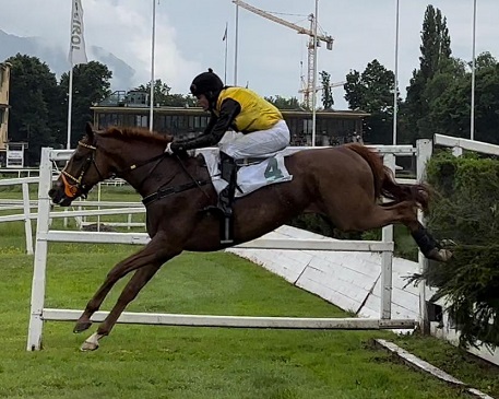 ITALIA. Primi salti a San Rossore. Domenica si parte con uno steeple chase, dove si rivede all’opera il rientrante Ramuntcho, opposto a Machinos, Chittussi e la polacca Runa. Fra i novizi Cheeky Blimey vs Night Pretender e gli esordienti Wind Of Dream e Jofogas