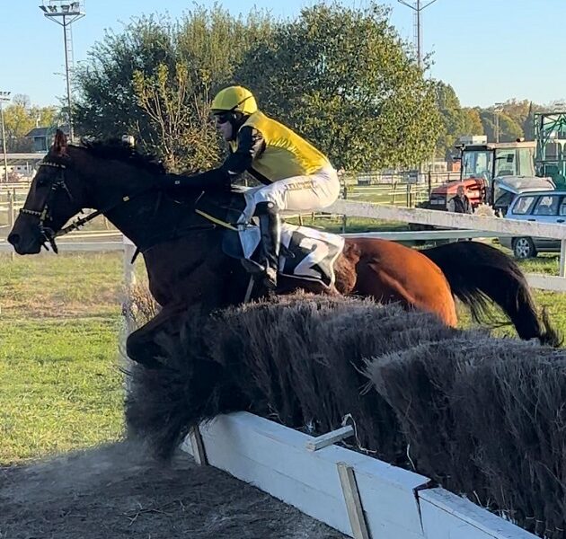 ITALIA. Real Wild Child infila la quarta, resta imbattuto e conquista la Corsa Siepi di Treviso. Darkalon ok nello steeple chase