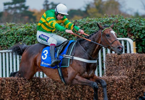 INGHILTERRA. Sandown Park, Jonbon vince per il secondo anno consecutivo il Tingle Creek Chase di Gr1. L’Eau du Sud si conferma nel grade one dell’Henry Novices Chase