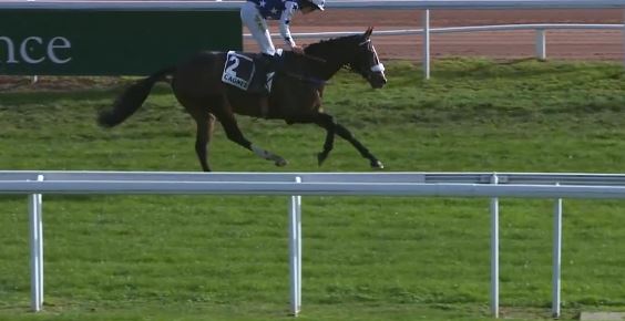 FRANCIA. Le Roi David domina il Jean Gailly de Taurines. A Cagnes Sur Mer, splendida esibizione dell’allievo di Mickael Seror, battuto Motu Fareone, buon terzo Mandinko