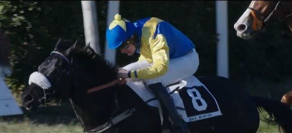 ITALIA. Pisa, Night Pretender primo squillo fra i giovanissimi. La quattro anni Runa fa sul serio nello steeple chase, Tonk e Lenka Neprasova puntuali nella periziata