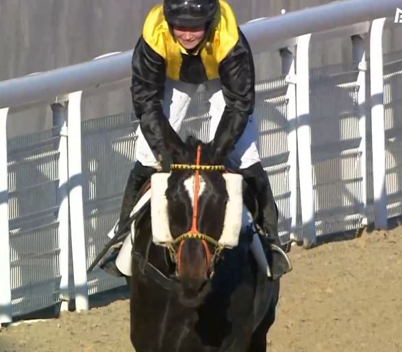 FRANCIA. Colori italiani protagonisti. A Cagnes Sur Mer, strepitosa vittoria di Sternkranz e Lenka Neprasova nel Roger Duchene, terzo Grand de Thaix. Mohican per Cecilia Gatta, vince il clou di giornata, il Prix Louis Bernus