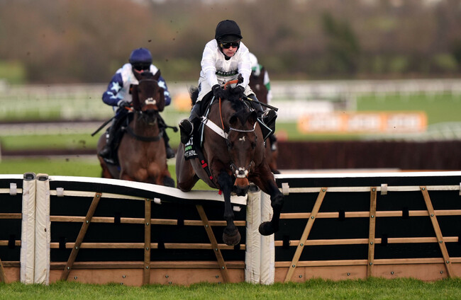 INGHILTERRA. Constitution Hill torna e vince a Cheltenham, ma che brivido alla finale. Nicky Henderson: ‘Adesso il Champion Hurdle’