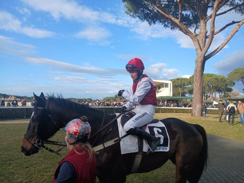 ITALIA. Lenka Neprasova piccolo capolavoro, Ivo a sorpresa nella Gran Corsa Siepi di Pisa. En Plein Romano nella Corsa Siepi dei 4 Anni, Vesuvio vince sullo steeple chase