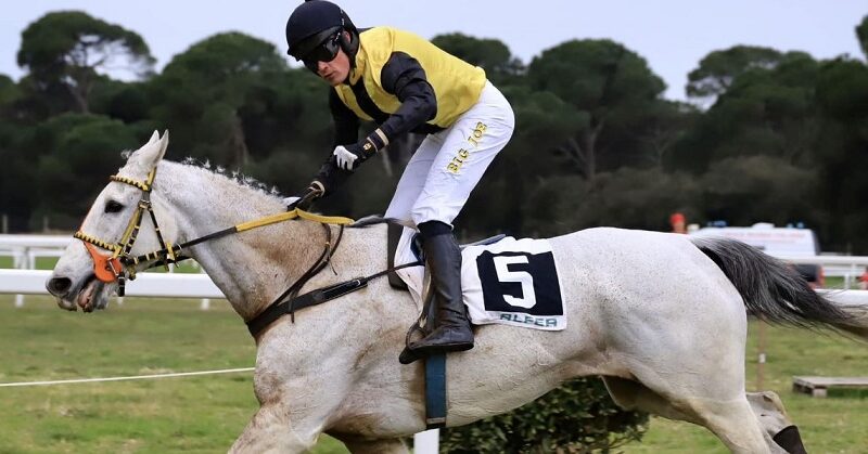 ITALIA. Pisa, Mauricius leggendario, l’allievo di Pepi Vana conquista la sua quarta Gran Corsa Siepi Nazionale per il quarto anno consecutivo. Il francese di Satalia Kashs domina il Criterium D’Inverno, Vesuvio si conferma nel Neni Da Zara